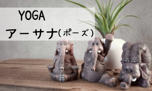 アサナ（ポーズ）身体と心の話