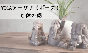 アサナ（ポーズ）身体と心の話